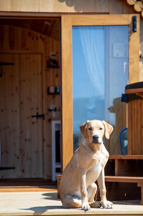 Barnhorn Glamping Villa Hooe Exterior photo